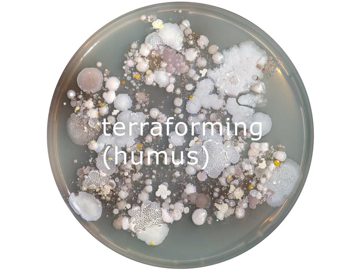 terraforming-humus