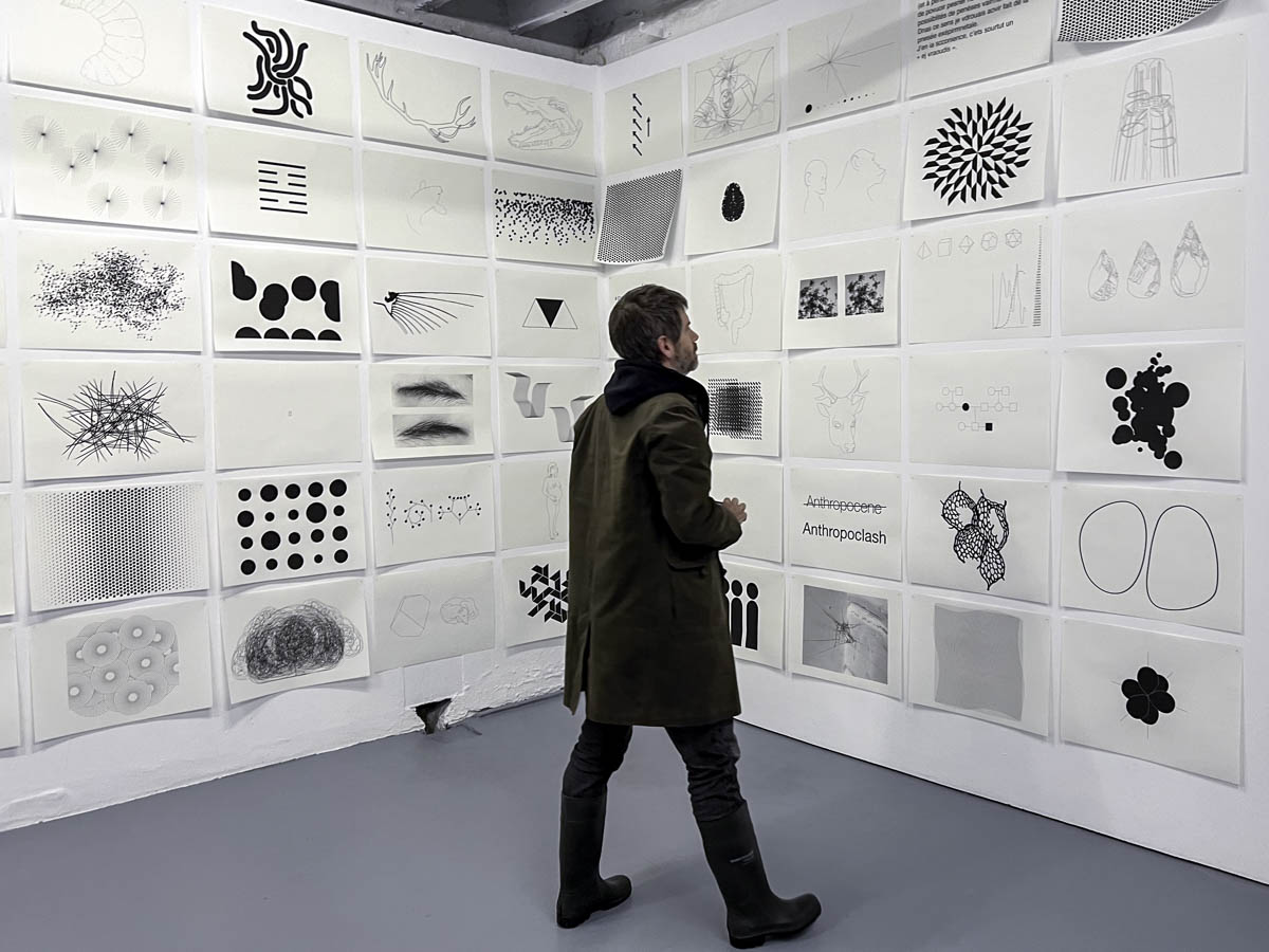 Screening StandarddeLuxe