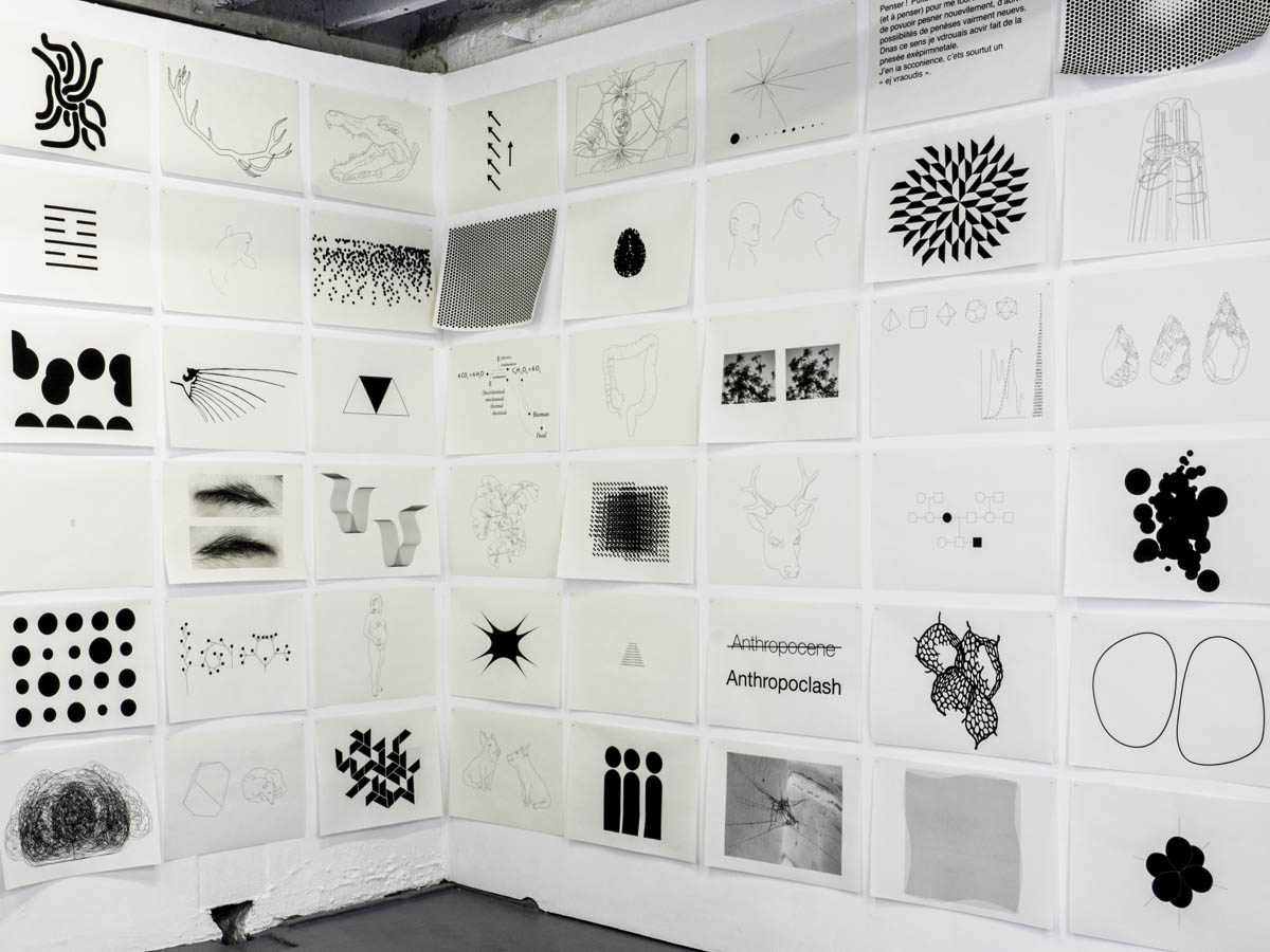 Screening StandarddeLuxe